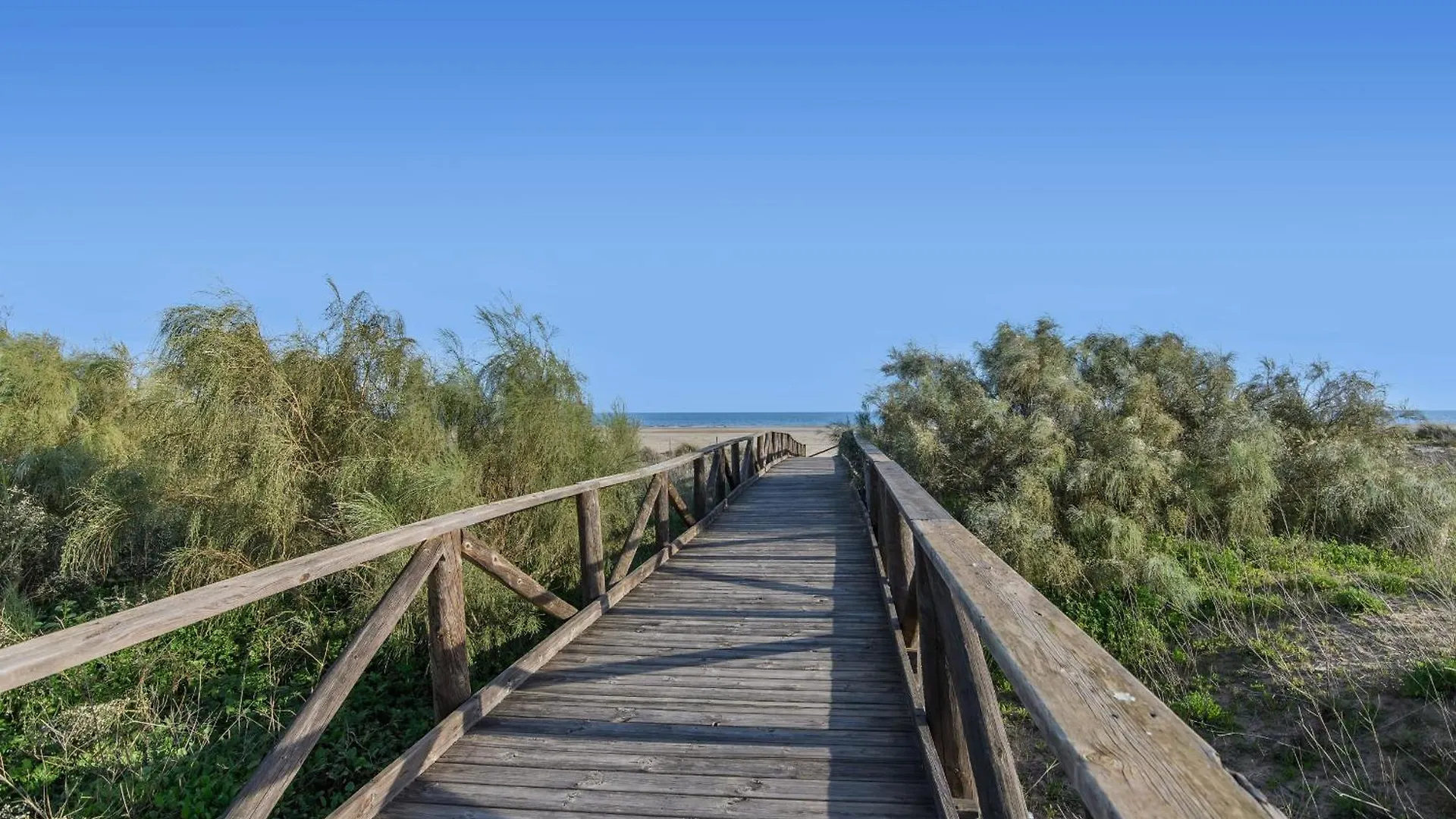 Apartamento Las Palmeras by HOMA Isla del Moral España